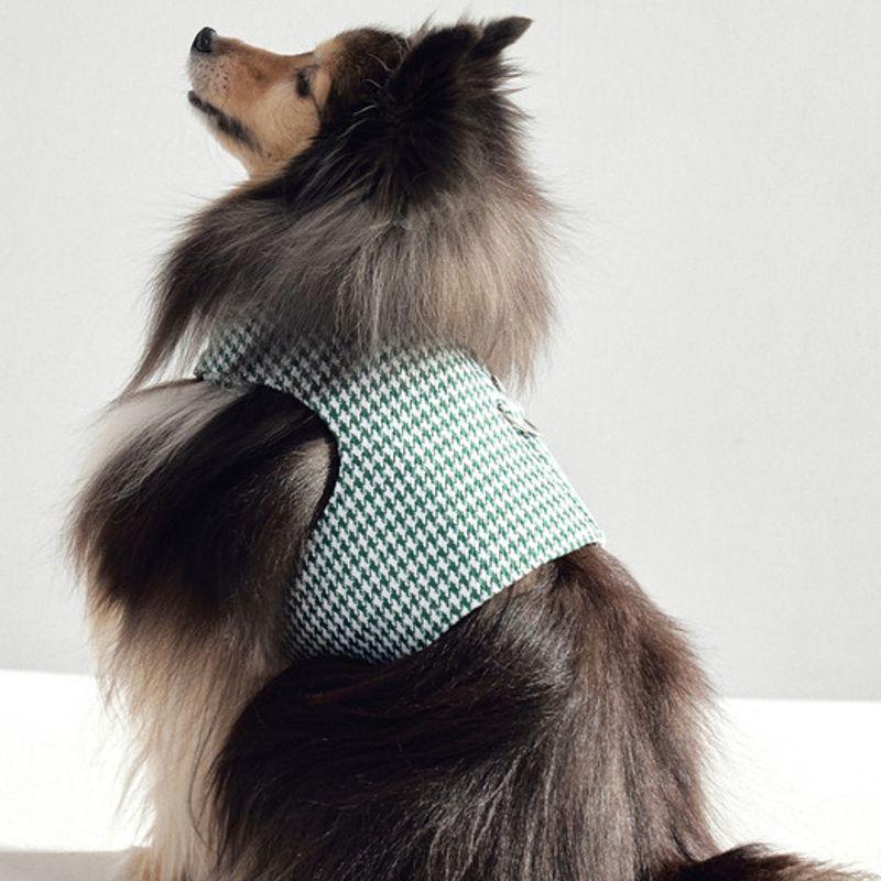 CROOKTHECHIHUAHUA Hound Pattern Harness - GREEN