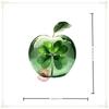 Acrylic Apple-Shaped Table Ornament with Floral Landscape Design 2D