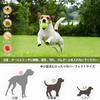Dog Ball Automatic Ball Launcher Toy for Robo Pitcher with 3 Adjustable Distances and 6 Mini Tennis Plastic Automatic Dog Ball Launcher for Small and