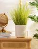 Aloe Texelle Flowerpot Cream H20X19.5