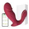 APP Control Vagina Panties Vibrator for Women Wearable Vibrating G-Spot Clitoris Stimulator Female Masturbator Sex Toy for Women