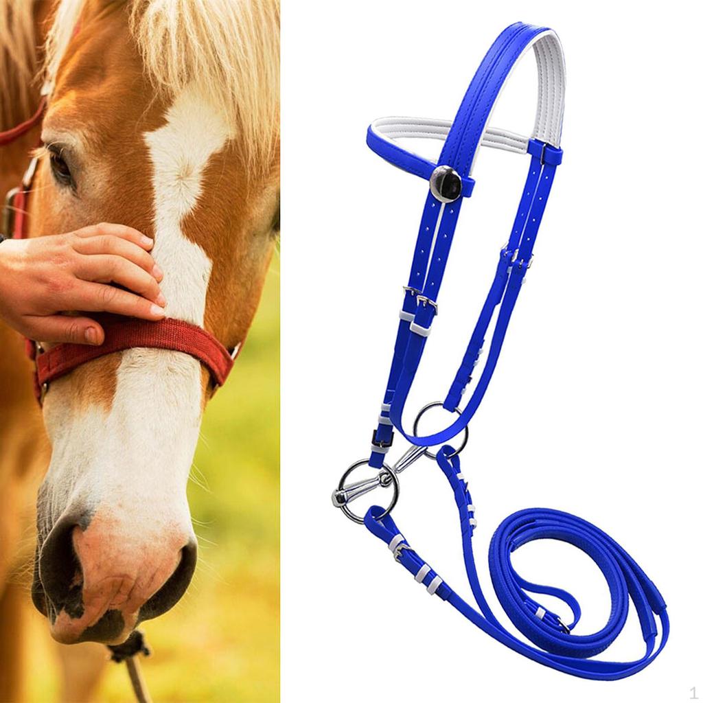 Horse Bridle with Rein Halter Versatile Stainless Steel Bit Headstall Riding Rope for Club