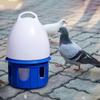 Automatischer Vogelwasserspender mit großer Kapazität Tränke Wasserflasche Käfigzubehör Wasserfütterung Taubenwasserspender für Taube Ente