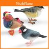 Animal Model Desktop Decor With Plastic Material For Educational Display And Bird Enthusiasts