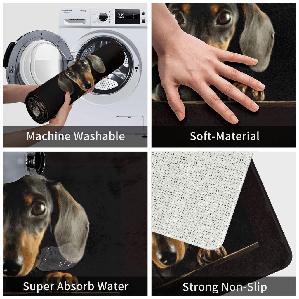 Cute Dachshund Dog Front Floor Door Entrance Mat Outdoor Puppy Pet Kitchen Bath Doormat Living Room Carpet Rug