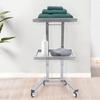 2-Tier Mobile Beauty Hairdressing Cart, Stainless Steel Rolling Utility Organizer for Salon Styling Supplies, 11lbs Capacity