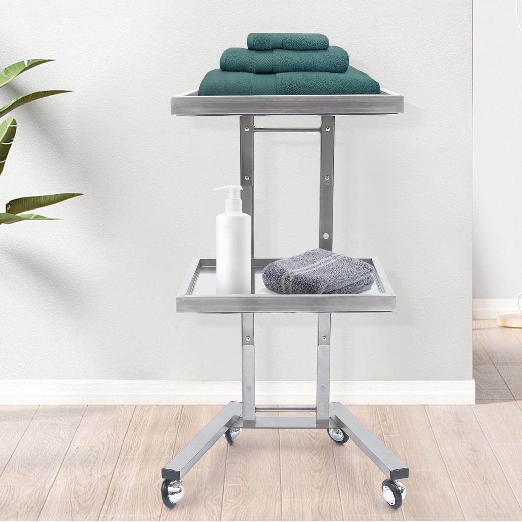2-Tier Mobile Beauty Hairdressing Cart, Stainless Steel Rolling Utility Organizer for Salon Styling Supplies, 11lbs Capacity