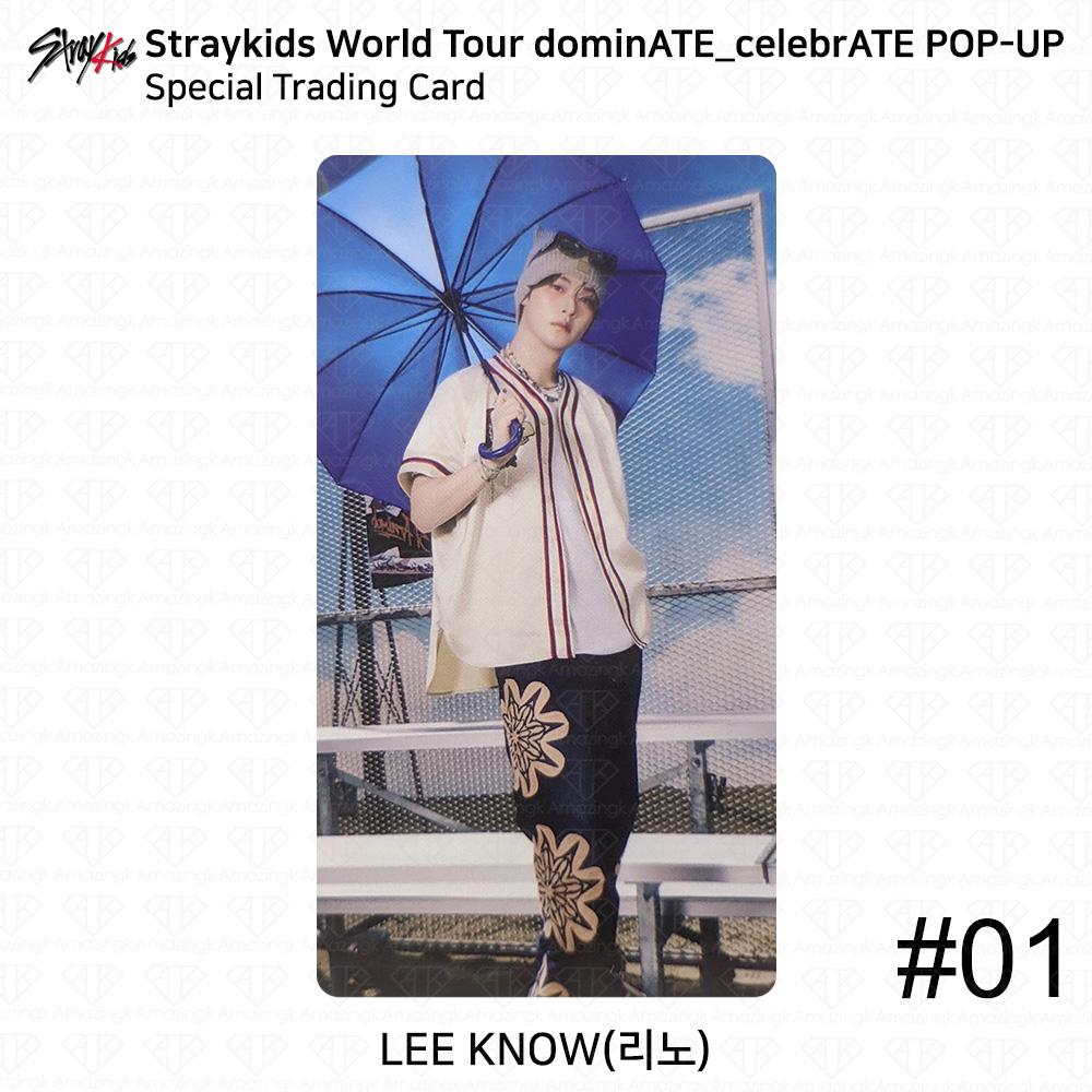 

Stray Kids Мировой тур DominATE CelebrATE POP-UP Специальная торговая карта KPOP K-POP Leeknow #1