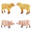 New Kids Gift Education Simulated Poultry Toys Figurines Animal Model