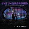 The Underground by LIV Evans Paperback Book 9780648812203