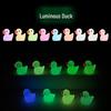 Glowing Luminous Duck Figurines - Colorful Resin Micro-Landscape Ornaments