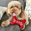 1pc-Cute Dog Toys Santa Claus Squeaks Stuffed Cat and Dog Toys Merry Christmas Dog Bones Holiday Gifts Puppy Accessories