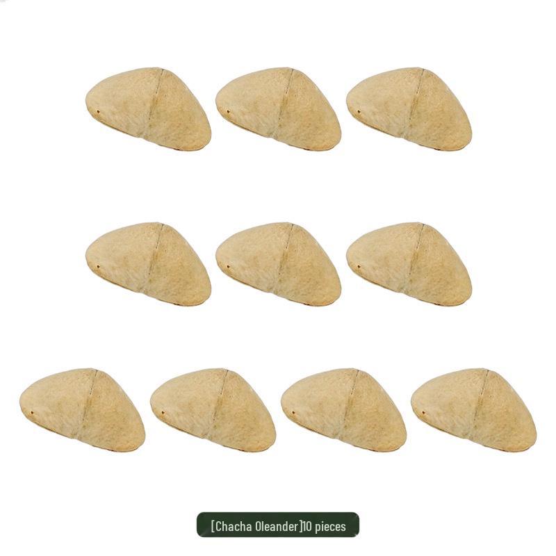 Indonesian Gecko Wind Chime DIY Kit with Black Fruit Shells