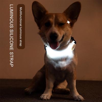 Buntes Silikon-Leuchtband, multifunktionales Hundehalsband, LED-Nachtsicherheit, blinkende Warnung