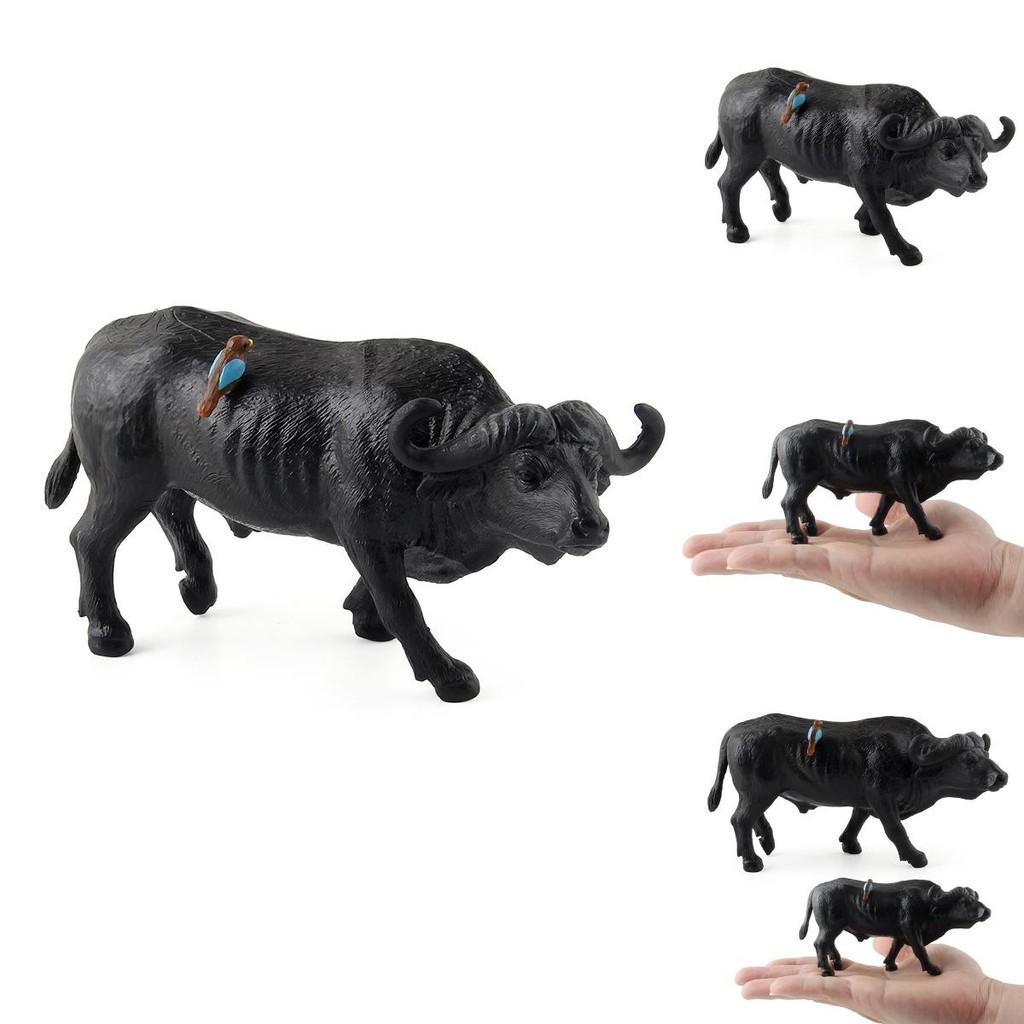 Búfalo de Agua Animal Salvaje Modelo Juguete de Plástico Para Niños Sala de Juegos Educativa Decoración