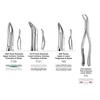GDC American Extraction Forceps