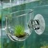 Plant Holder for Aquarium Acrylic Clear Holder with Suction Cup Aquatic Plant Pot for Propagation Hydroponics Cultivation