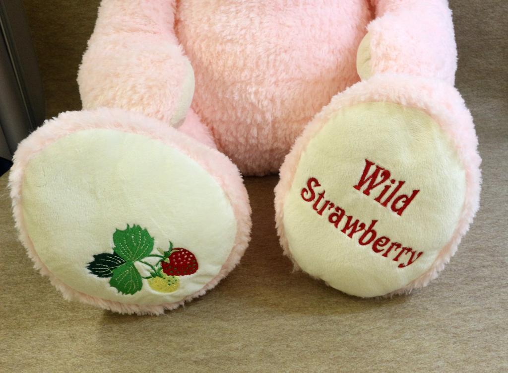 Take Off Wild Strawberry Bear 2L Pink Plush Toy Box [Music Included]
