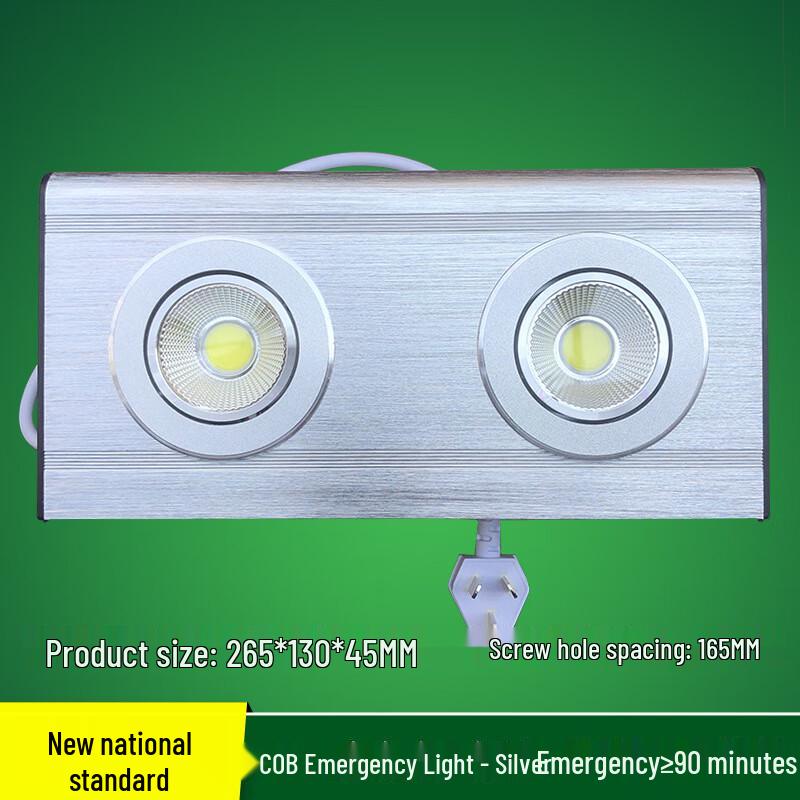 Linpan Double-Head Emergency Light