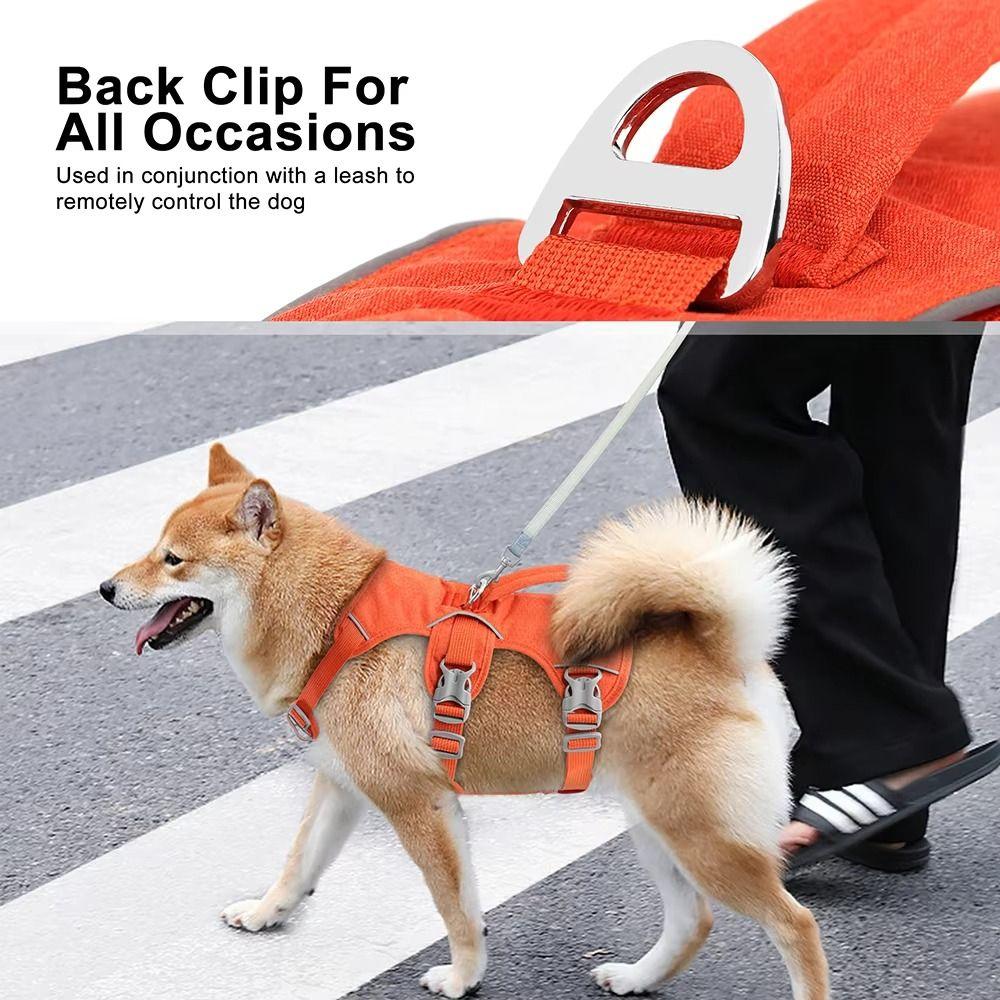Reflective Vest Reflective Pet Harness Adjustable Design Nylon Pet Vest  Walking Training