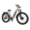 Electronică pentru creativitate și divertisment – Biciclete electrice
