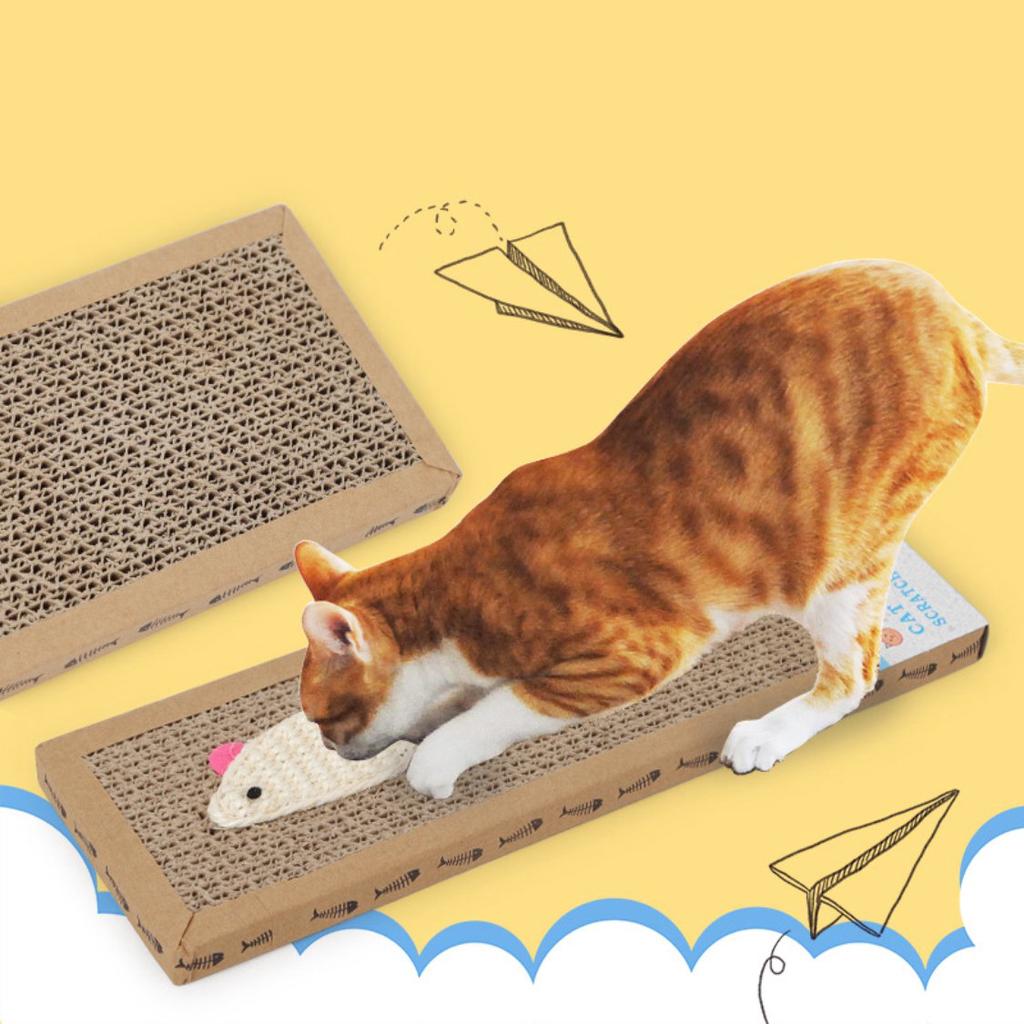 flat cat scratching board