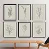 Botanical Posters Prints Abstract Leaves Canvas Painting Vintage Beige Wall Art Pictures Modern Living Room Home Decor