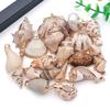 White & Yellow Electroplated Ocean Shell Conch Pendant Charm for DIY Jewelry