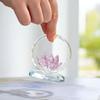 Reflection Effect Lotus Flower Figurine Stable Base Clear Lotus Flower Collectible  Home Decor