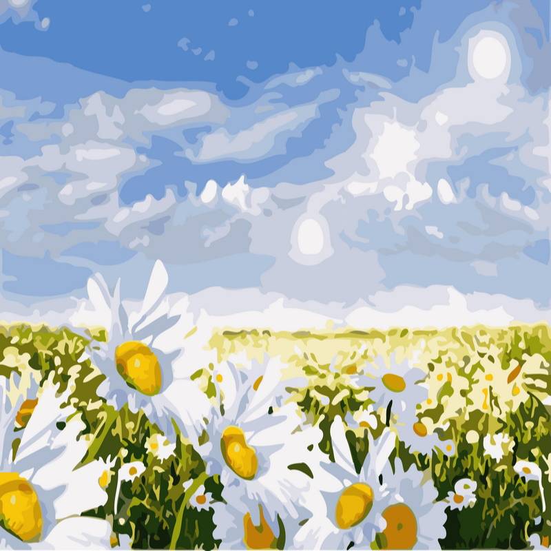 Dipinto originale di papaveri rossi, grande arte murale con fiori in fiore, dipinto di papaveri su tela, decorazione floreale rossa con cornice, arte murale con papaveri - Italia