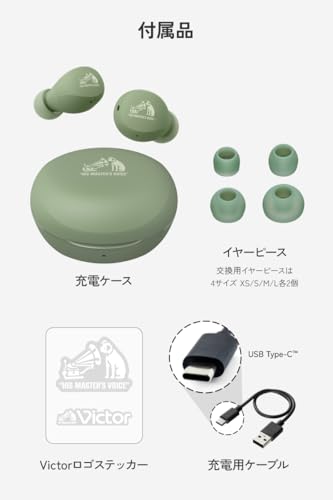 JVC Kenwood Victor HA-A6T-B Wireless Earphones Bluetooth 5.4 23 Hours Playback Microphone Compact Lightweight Waterproof Black
