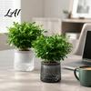 Decorative Aesthetic Flower Pots Self‑Watering Planter Pot Thick Transparent Embossed Desktop Vessels Indoor for Hydroponic Houseplants Succulents