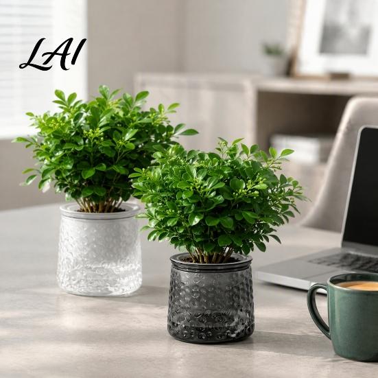 Decorative Aesthetic Flower Pots Self‑Watering Planter Pot Thick Transparent Embossed Desktop Vessels Indoor for Hydroponic Houseplants Succulents