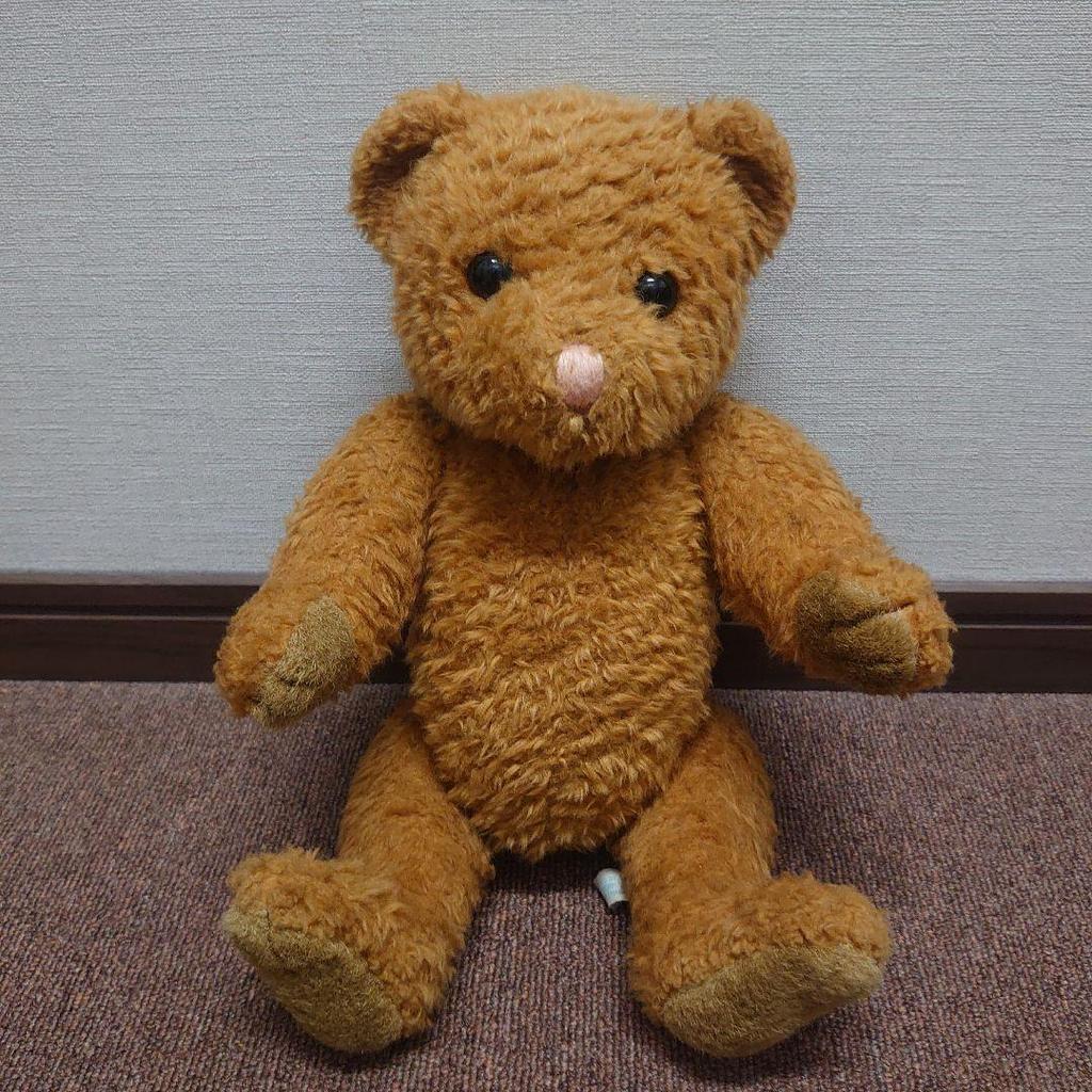[USED] First Teddy Bear Plush Toy