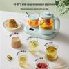 Bear Electric Wellness Kettle Set CN plug (adapter included)