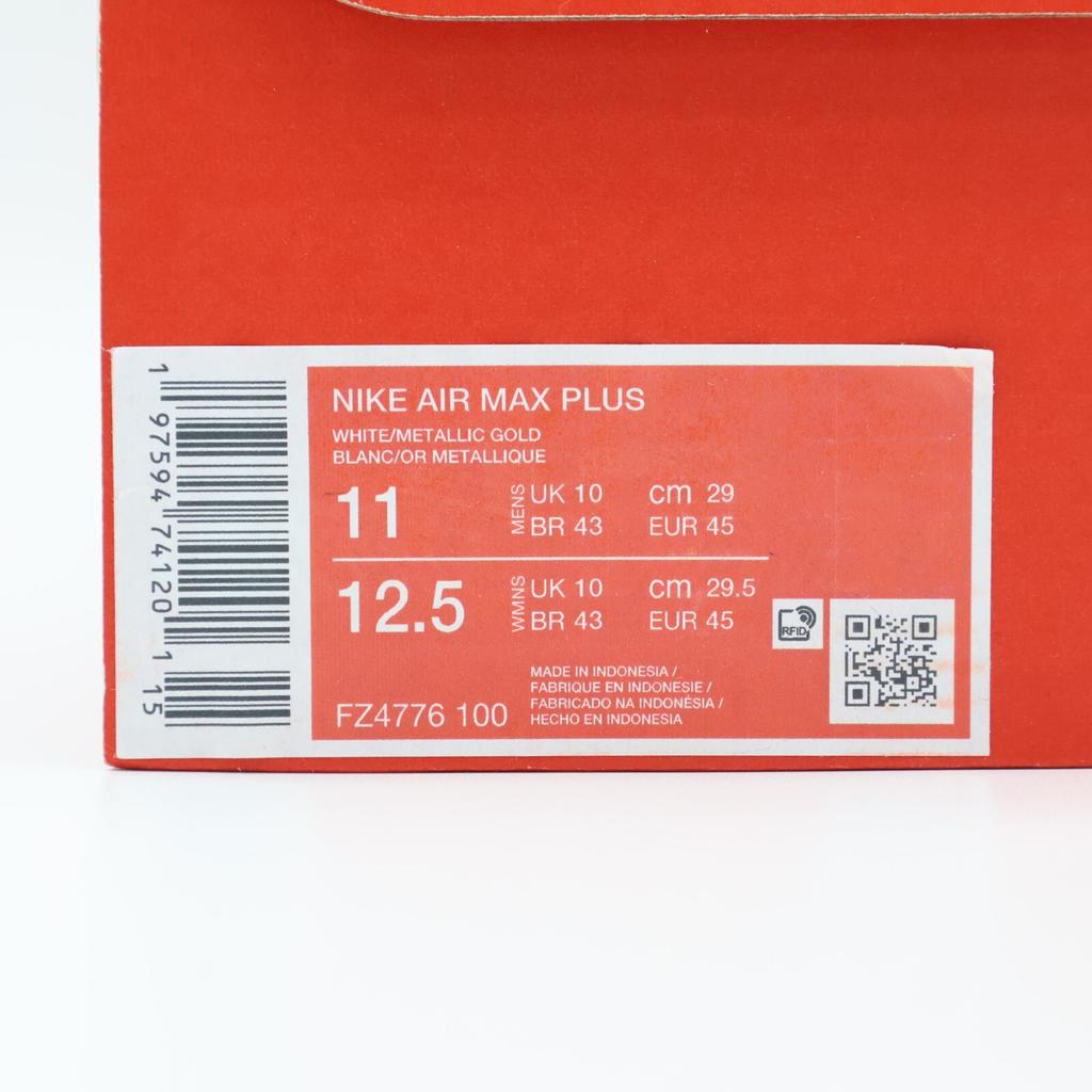 FZ4776-100 Nike Air Max Plus Paris Saint Germain (Erkeklerin)