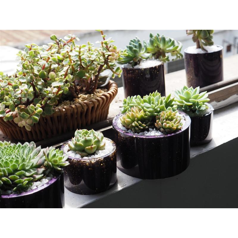 Succulents Planter Resin Mold Plant Pot Crystal Mold Jewelry Storage Box Cup Silicone Mold Vase Flower Pot Casting Mold