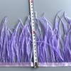 FeatherOstrich Feathers Trim 10 Meter 13-18 CM Feather Plumes Ribbon Selvage For DIY Wedding Dress Decoration Crafts Accessories