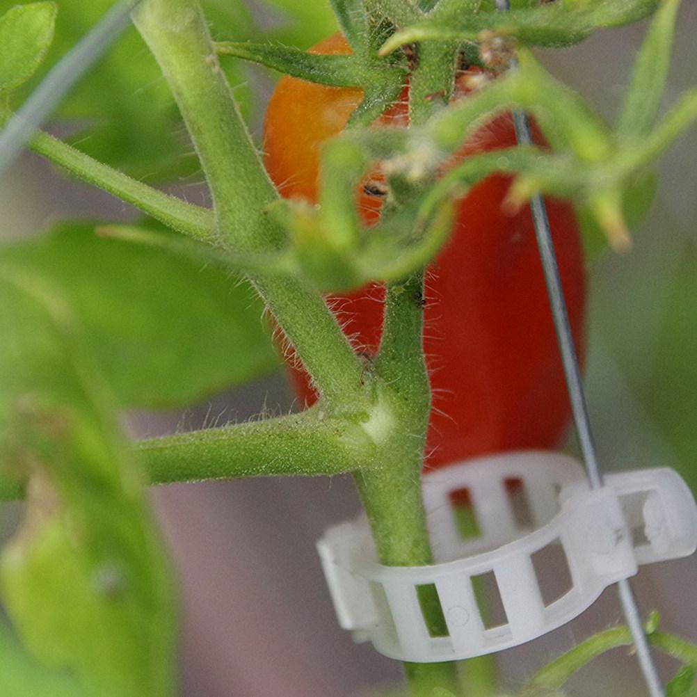 100 Stück Premium PP Pflanzenclips für Tomaten Gurken Paprika Melonen Rankenpflanzen Blumen Gartenstütze Aufrechtes Wachstum Belüftet