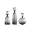 Minimalist Art Transparent Glass Vase