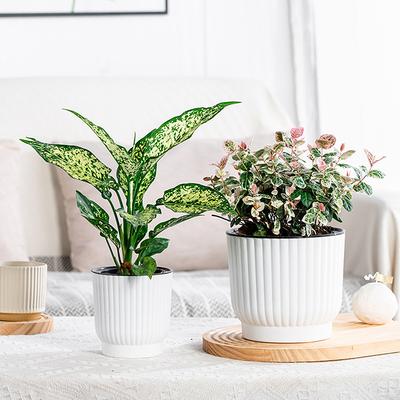 Vaso de Flor Plástico Auto Irrigante Preguiçoso Camada Dupla Hidroponia Plantas Verdes Vaso para Bonsai Vasos Suculenta em Vaso Decoração para Casa Escritório