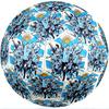 Argentina National Football Team Theme Soccer Ball Size 5 Soccer Ball Soft Touch Professional Training Football for Outdoor Sports