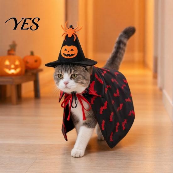Cat Costume with Hat 1 Set Pet Halloween Costume, Spider Pumpkin Wizard And Outfit Double-Sided Bat Print Cape, Holiday Party for Cats Dogs Medium Dog
