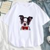 Moda Harajuku Calle de Verano ropa para mujer Camiseta con Estampado de Dibujos animados chica suave acogedora Casual linda manga corta Camisa Kawaii