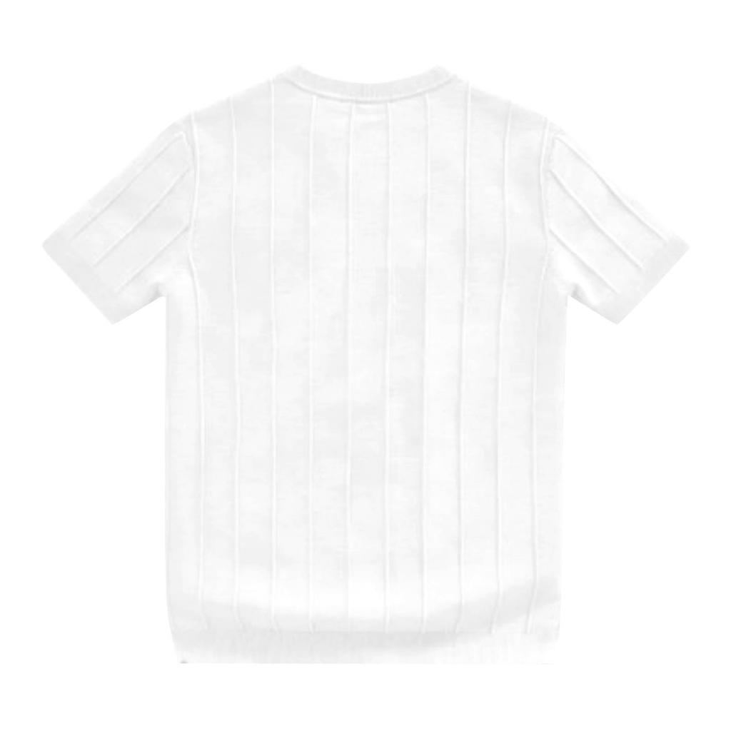 Neuer Herren-Strickpullover mit kurzen Ärmeln, Hochwertiges vertikal gestreiftes T-Shirt-Top für Herren mit hohem Halsausschnitt