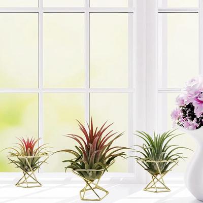 Decoración para el hogar
 – Flores y coronas decorativas