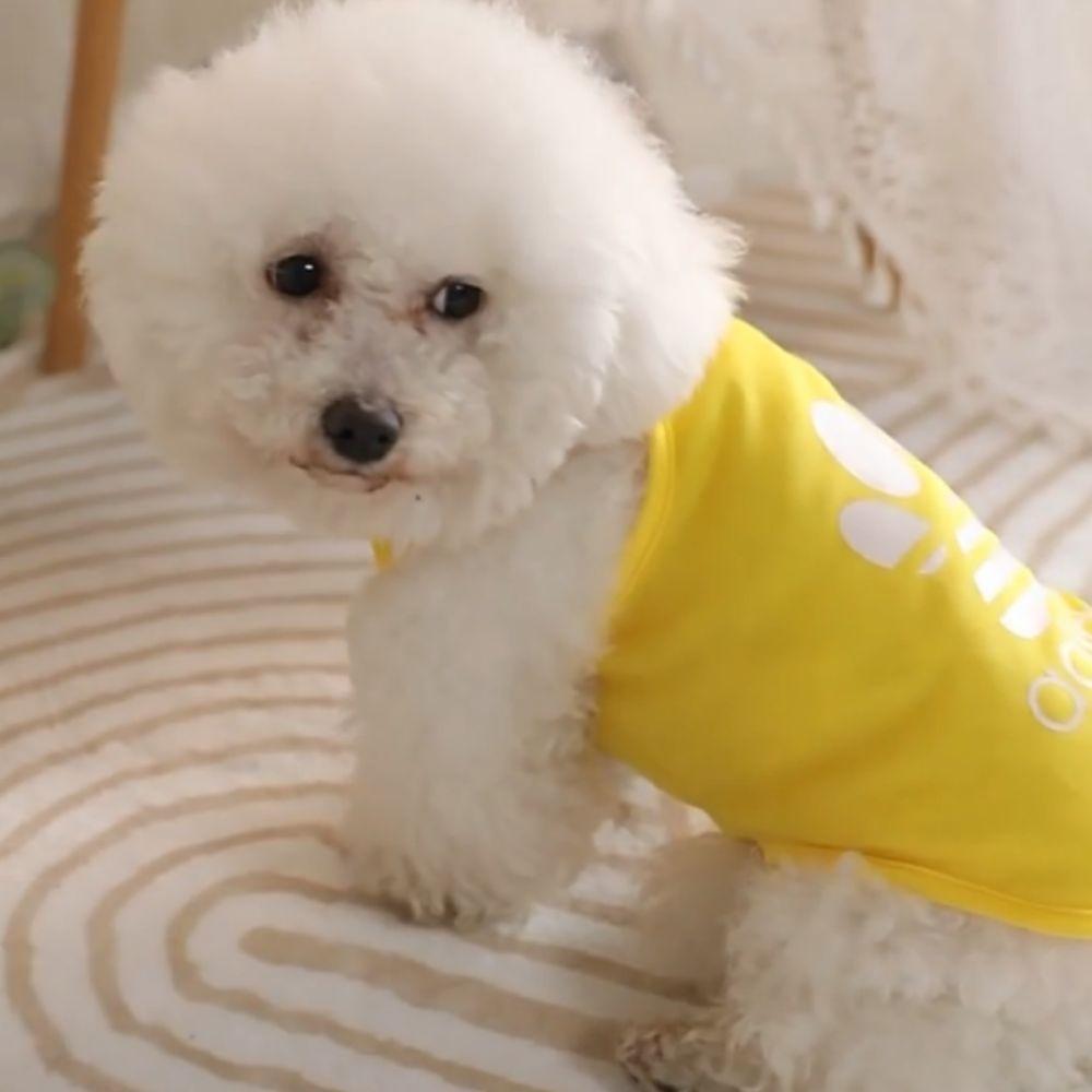 Cool Dog Tank Top Soft Pet Basketball Vest Cat Costume Dog Thin Vest  Summer