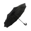 Nanqiao Fully Automatic 10-Rib UV Protection Sun & Rain Umbrella
