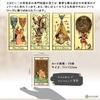 The Medieval Scapini Tarot Tarot fortune telling method with Japanese instruction manual Authentic tarot cards 78 sheets