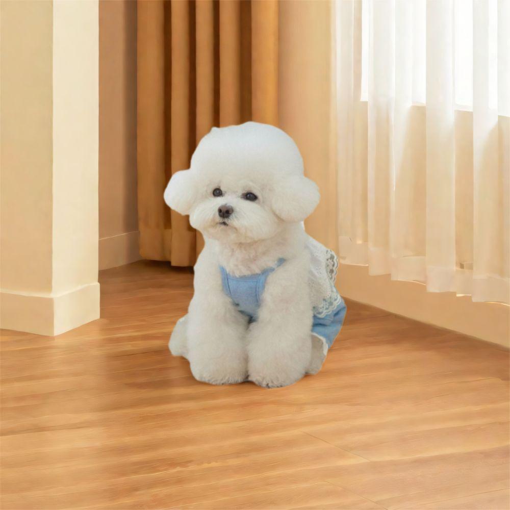 Breathable Pet Overalls Fashion Dog Pajamas Pet Supplies Pet Lace Jumpsuit Autumn